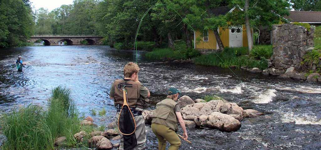 Kurser